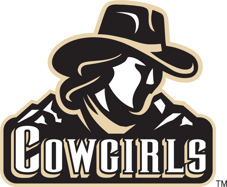 Wyoming Cowboys 2000-2007 Wordmark Logo diy iron on heat transfer